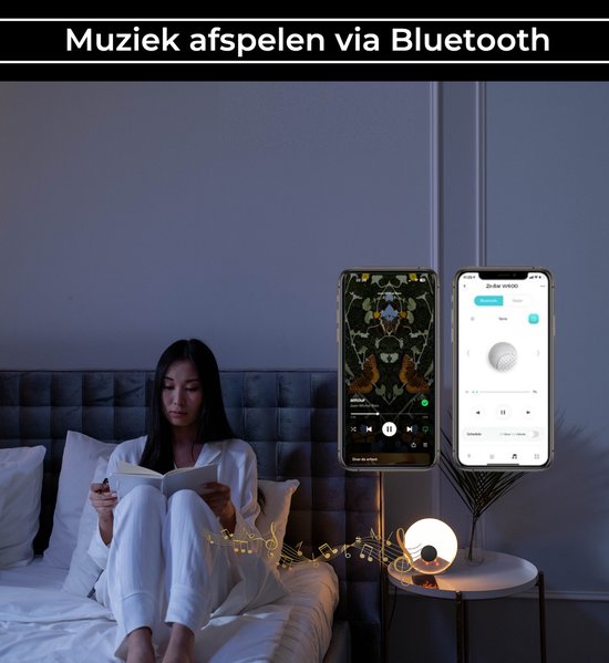 Wake up light met APP - digitale wekker slaapkamer - Lichtwekker - Natuurlijke geluiden - FM Radio