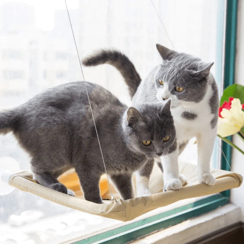 Bespets Hangmat voor katten raam