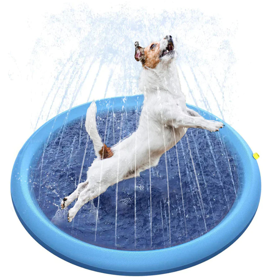 Besgard Spetterend Hondenzwembad